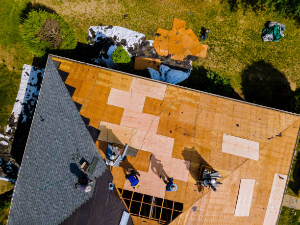 Best New Roof Installation  in Tillamook, OR